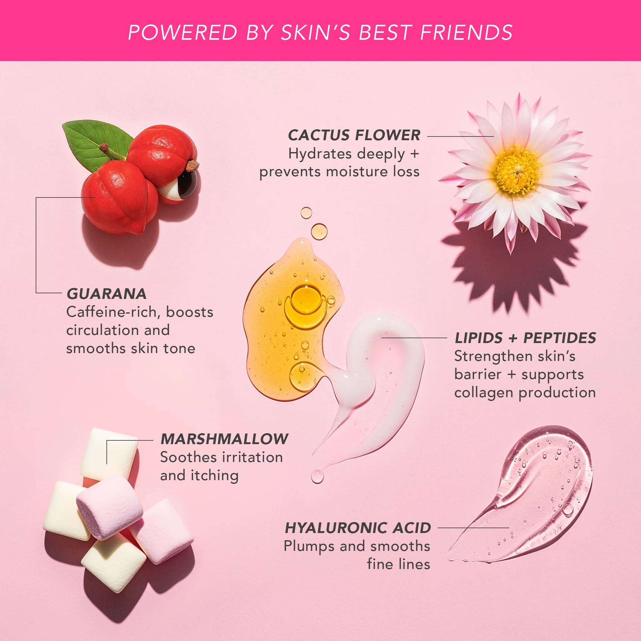 Firm and Smooth Body Renewal Duo - Image 5